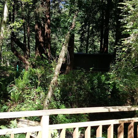 Emerald Forest Cabins Trinidad Quarto foto